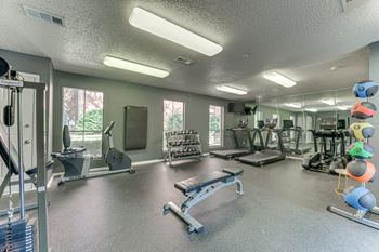 A gym with a variety of equipment including a bench press, a treadmill, and a rowing machine.
